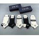 Dior Socks