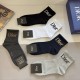 Dior Socks