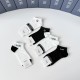 Dior Socks
