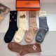 Hermes Socks
