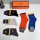 Hermes Socks