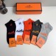 Hermes Socks