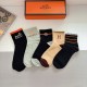 Hermes Socks