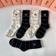 MiuMiu Socks