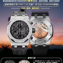 Audemars Piguet Watc Top Quality
