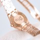 Audemars Piguet Watches: Top Quality