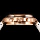 Audemars Piguet Watches: Top Quality
