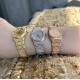 Audemars Piguet Watches: Top Quality