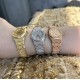Audemars Piguet Watches: Top Quality
