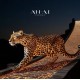 Cartier Cheetah Top Quality