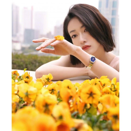 Dior Watch: Top Quality
