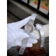 Dior Watch: Top Quality