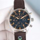 IWC Watches: Top Quality