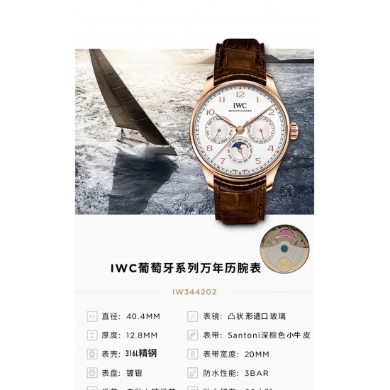IWC Watches: Top Quality
