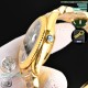 ROLEX Logs Top Quality