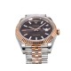 ROLEX Logs Top Quality