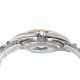 ROLEX Logs Top Quality