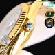 ROLEX Logs Top Quality