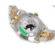 ROLEX Logs Top Quality