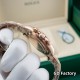 Watch ROLEX Watches—Top Quality