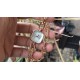 Tiffany Watches: Top Quality