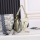 260Dior saddleOblique limited edition cd5501 embroidery gold D large size 255 x 20 x 65 cmBe a classic with classicsFashion is easy to pass away, classics will always existFashion is a cycleSaddle bags have witnessed the birth of the IT Bag to AntiIT Bag 