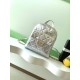 860 Chanel 25k Silver Shoulder Bag Super cool silver is also a color that has been out for many seasons Enough to hold a sense of fashionable atmosphere Small school bag with good capacity Shoulder strap with adjustable position Suction buckle pocket on t